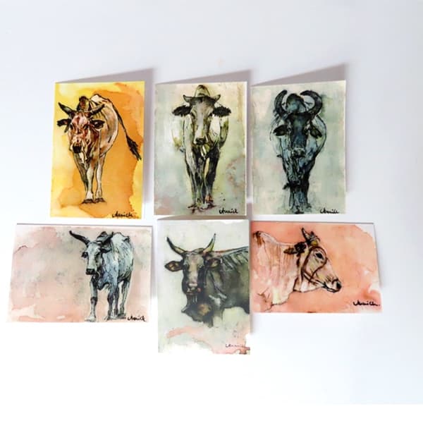 Greeting Cards Pack of 6 - Thinning Out the Herd