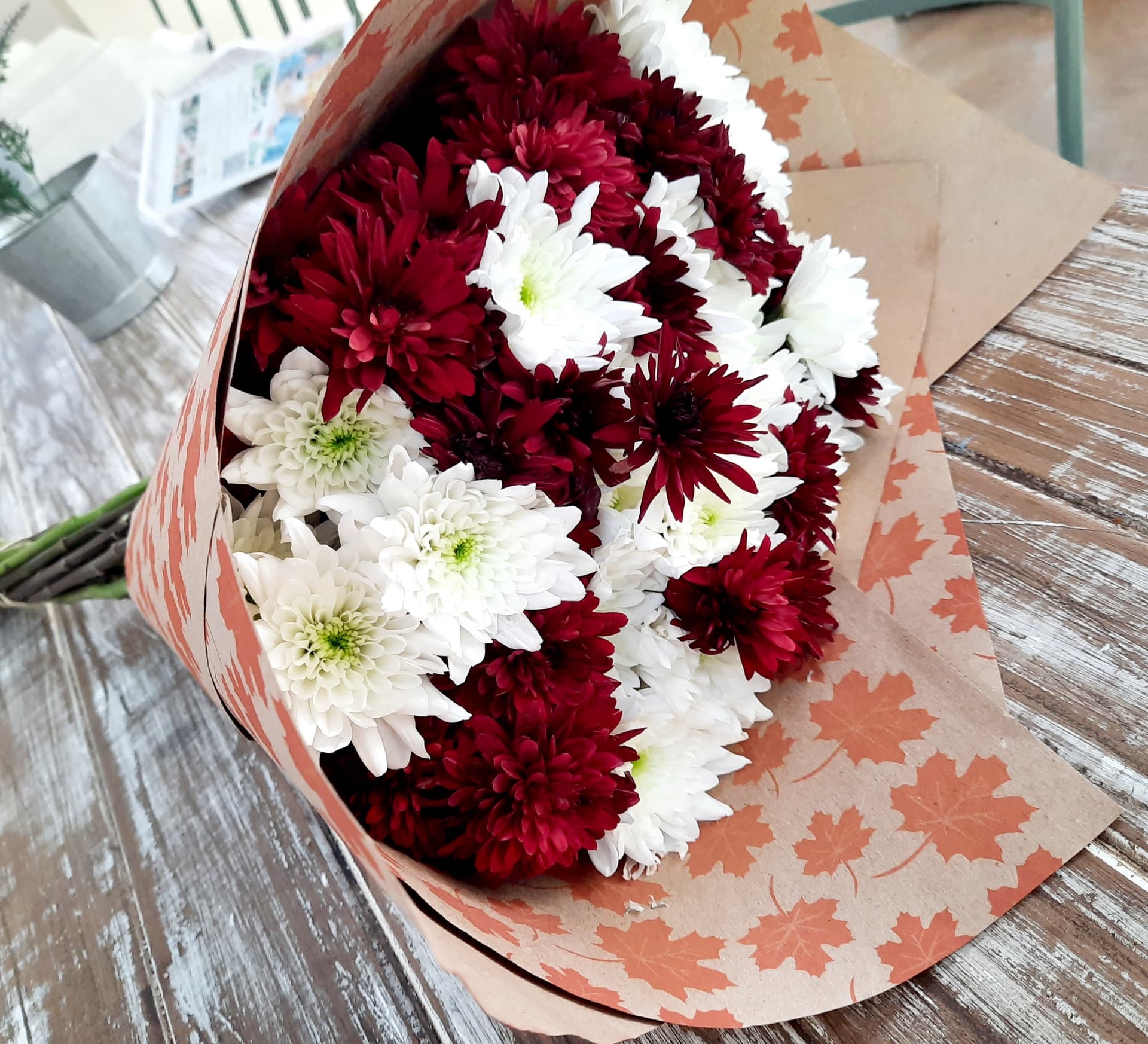 Chrysanthemum
